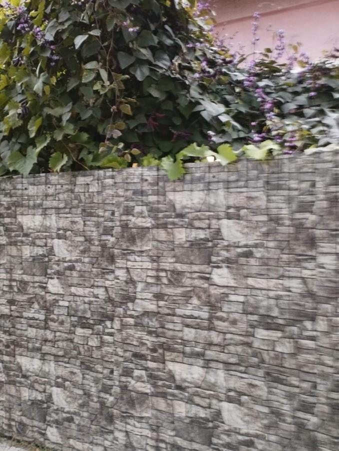 Balti House Apartman Kültér fotó